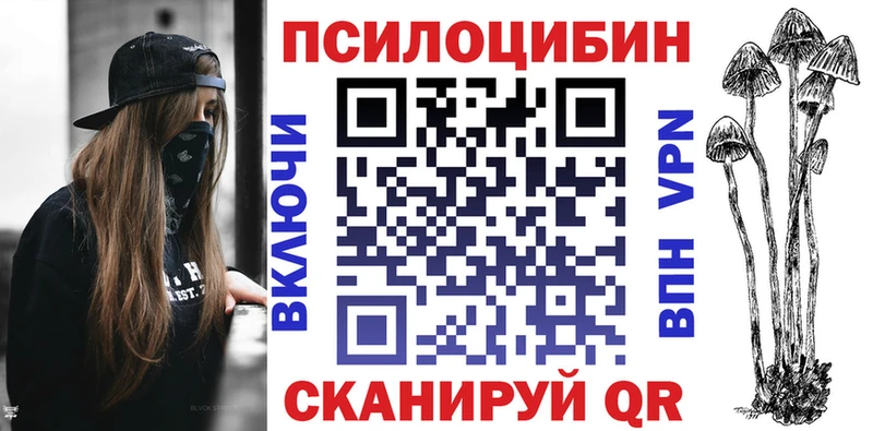 закладка  Лаишево  Псилоцибиновые грибы Psilocybine cubensis 